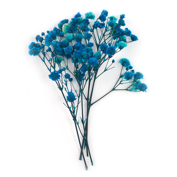 Gypsophila torkad blombukett Tillbehör för alla hjärtans dag presenter grönska dekor 8 Royal Blue