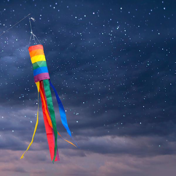 Rainbow Windsock Flagga Utomhus innergård Screentryck Flagga Hållbar och intressant utomhusdekoration Wind Flag