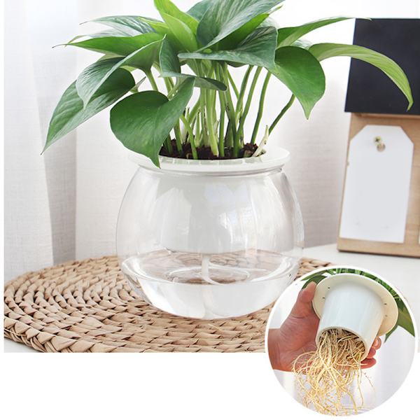 Självvattnande planteringskrukor Mini rund design suckulent växtkruka Inomhus Hemträdgård Modern dekorativ kruka C103 Soil Culture Black Letters