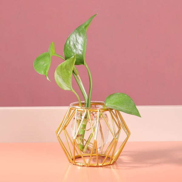 Metall blomvas modern samtida design blommig behållare dekoration för hemmakontoret Gold Diamond