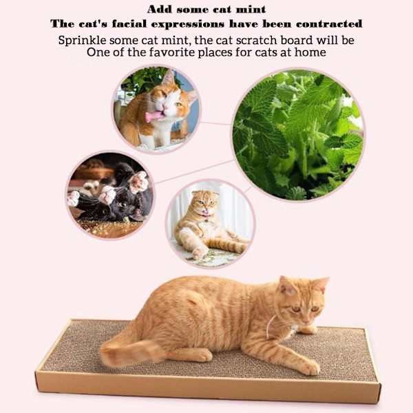 Enkel Cat Scratching Pad Anti-deformation Slitstark Cat Scratching Toy för hemmet Straight Plate Shape