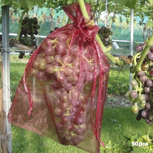50st Frukter Växtväxtpåsar Vindruvor Trädgårdsskötsel Skydd Mesh Nätpåse Hem Godispärla Förvaringspåse 17x23cm Orange