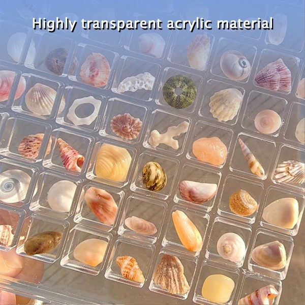 Akryl Seashell Display Box med magneter Slitstark sjöstjärnor Trinket case för pärlspik 36 Grid