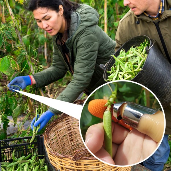 Plockning av rostfritt stål tumskärare för bönor Enkel skörd Bönplockare för jordgubbar paprika 2pcs