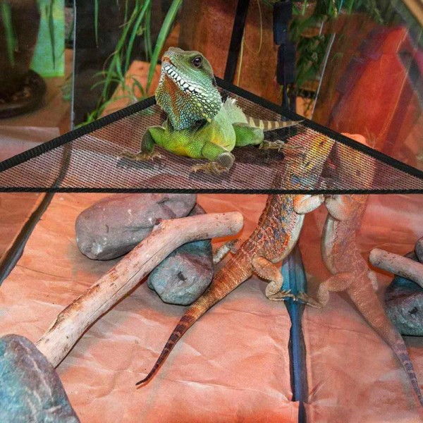 Andningsbara mesh reptilhängmattor Bekväm gunga med kraftfull sugsug Lämplig för ödlorm M