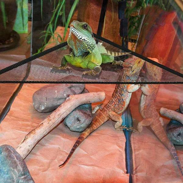 Andningsbara mesh reptilhängmattor Bekväm gunga med kraftfull sugsug Lämplig för ödlorm S