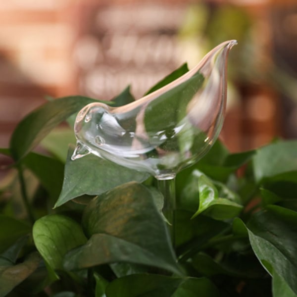 Söt automatisk blombevattningsanordning Glas självbevattningsstakar Växtglasvattenbehållare Automatisk bevattning Vattenklot Snail A