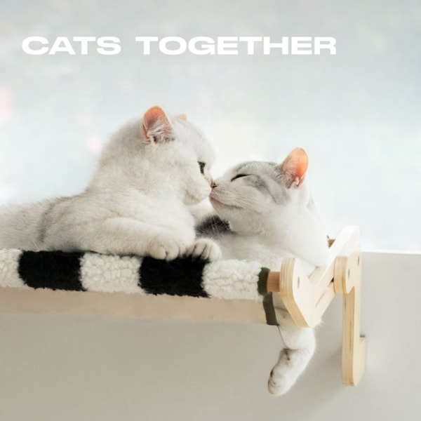 Cat's Window Hammock, Cat's Hanging Bed svart