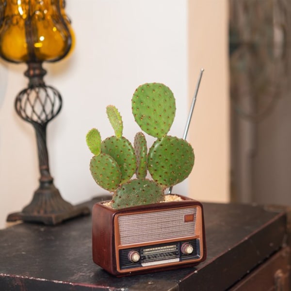 Creative Planter Kruka Retro Radioformad Blomkruka Multi Purpose Resin Succulent Bonsai Planthållare Ornament för kontor Dark Brown