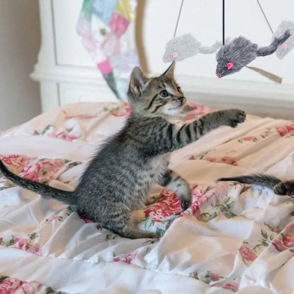 Cat Scratch Rep Mus Hängande infällbar kattleksak Retande Katt Självspelande pinne Elastiskt rep Husdjurstillbehör för hemmet Mouse