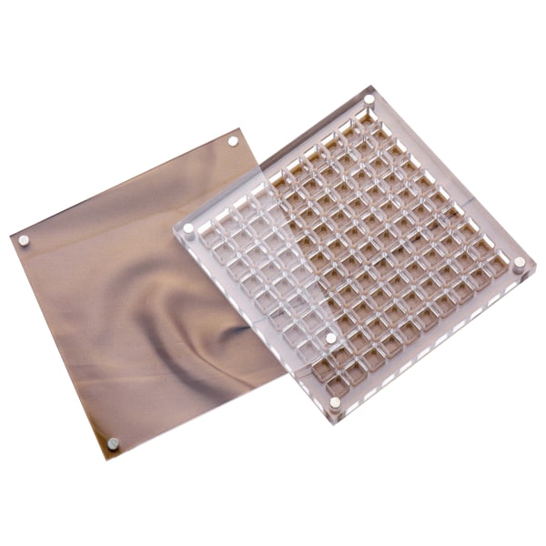 Akryl Magnetisk Seashell Display Box Multi-purpose Craft Dekorativt ställ för ädelstenar