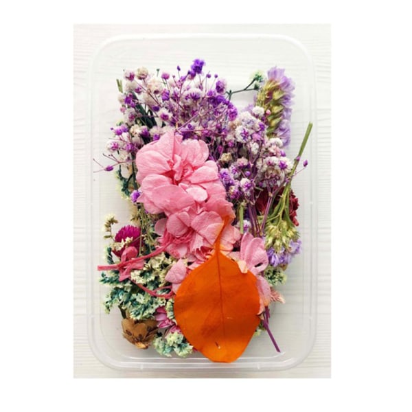 Paket med torkade blommor Blandade eviga blommor och lövverk för gör-det-själv Aromaterapi Ljus Gratulationskort Epoxihantverksdekor Multicolour