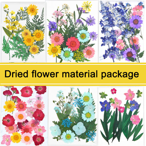 20-25 st/förpackning Riktiga torkade pressade blommor Bladväxt Blandade färgglada blomblad Kronblad För gör-det-själv-hantverk Make-up