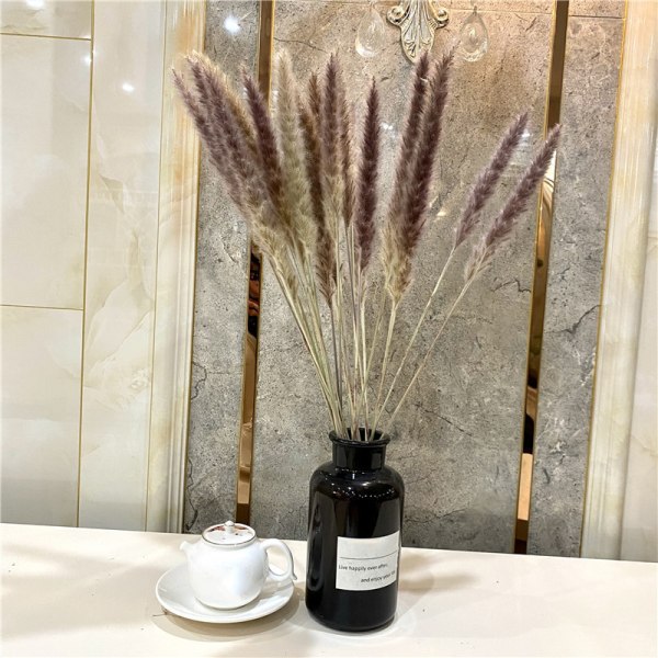 Växtdekoration Vass Små Pampas Vita Torkade Blommor Lufttorkad Dekoration Display Rekvisita White