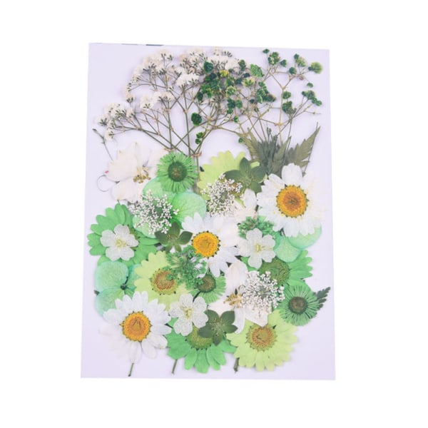 Dry Flower Kit DIY Pressade Blommor Torkade Hantverk Riktiga Blommor Bokmärke Blomdekor Green White