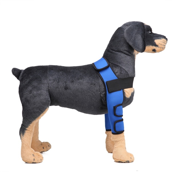 Hundbensskydd för framben, kompressionsbandage, ger extra stöd för hasleden, justerbar, hundvård Red Second Generation L