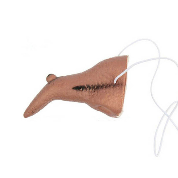 Halloween Accessoar Häxa Long Nose Hole Kostym Accessoar för Party Halloween Carnivals Multicolour