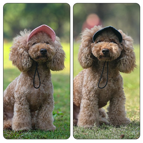 Outdoor Outing Hund Katt Baseball Cap Andas lätt husdjursmössa för resor Pink M