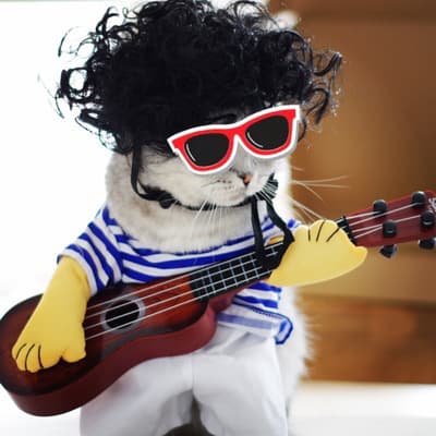 Pet Gitarr Kostym Rolig Sångare Katt Valp Cosplay kläder för Halloween L