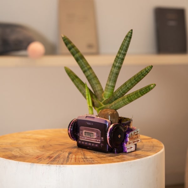 Kreativ blomkruka Retro Walkman Headset Design Suckulent Bonsai Plant Hållare Skrivbord Mini Kruka Ornament För Hem Bord Black Purple