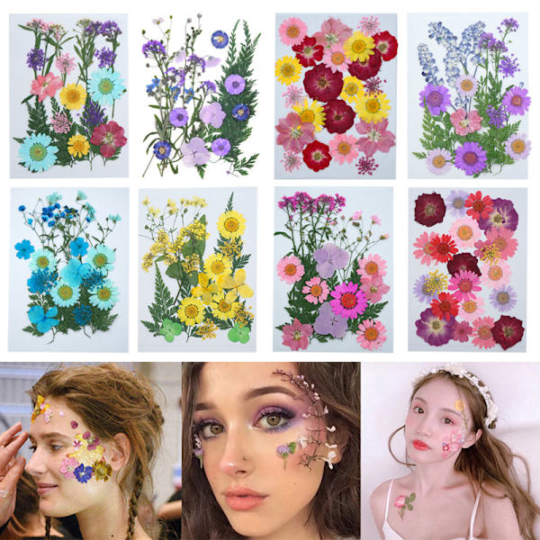 20-25 st/förpackning Riktiga torkade pressade blommor Bladväxt Blandade färgglada blomblad Kronblad För gör-det-själv-hantverk Make-up