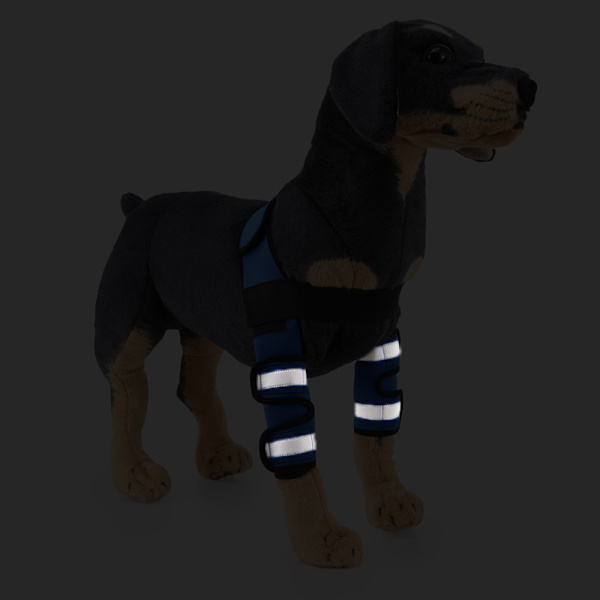 Hundbensskydd för framben, kompressionsbandage, ger extra stöd för hasleden, justerbar, hundvård Blue Second Generation S
