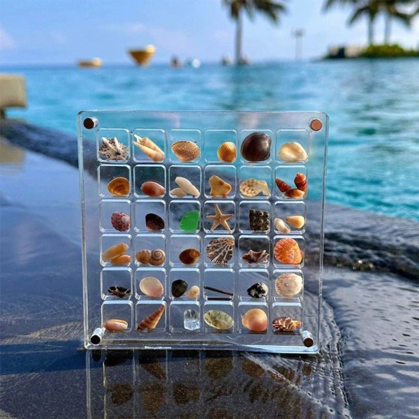 Akryl Magnetisk Seashell Display Box Multi-purpose Craft Dekorativt ställ för ädelstenar