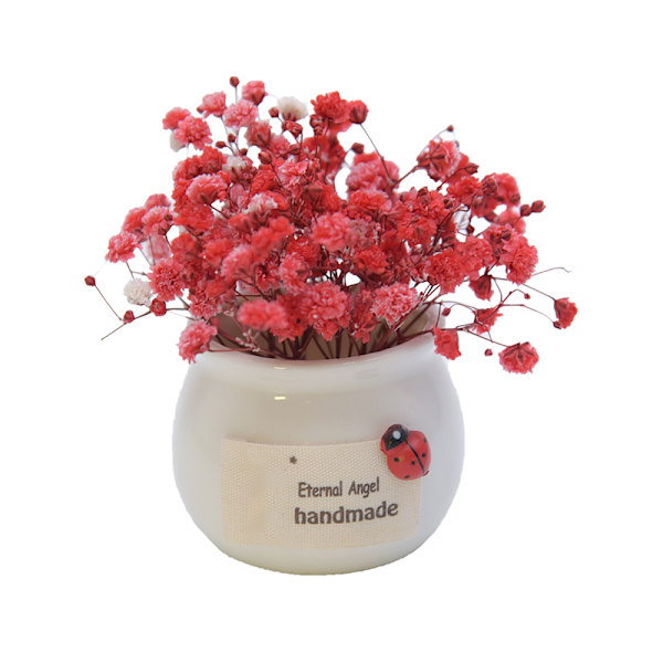 Gypsophila Torkad blombukett med porslinsvaser Torkade blommor med grenar stjälkar grönska dekor White