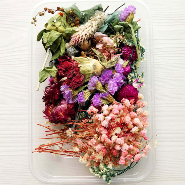 Paket med torkade blommor Blandade eviga blommor och lövverk för gör-det-själv Aromaterapi Ljus Gratulationskort Epoxihantverksdekor Multicolour