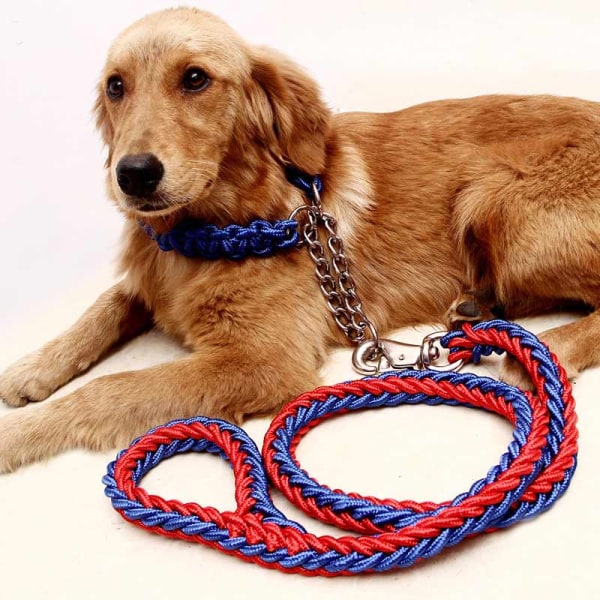 Hundhalsband Starkt dragrep koppel Dragrep Set Nylon Stort husdjursrep Produkt Red   Blue