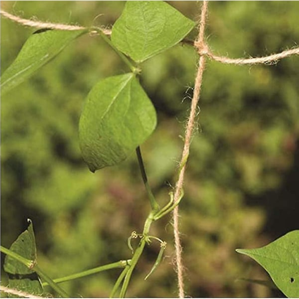 Naturlig Jute Støttenett for Klatreplanter