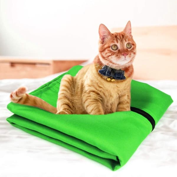 Vaskepose til kæledyr, stor vaskepose med lynlås i twillpolyester, fjerner hunde- og kattehår, til kæledyrssengetøj, grøn, 70 x 80 cm