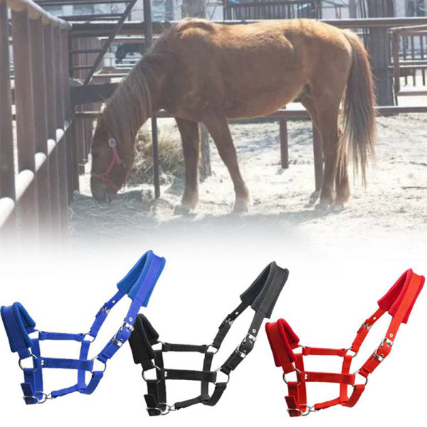 IC Polstret Ponny Hodelag Headstall Head Collar Hest Ride Svart M