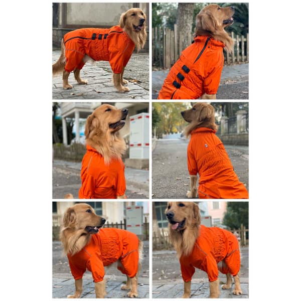 IC NOE Vattentät Jacka för Stora Hundar Orange XXL