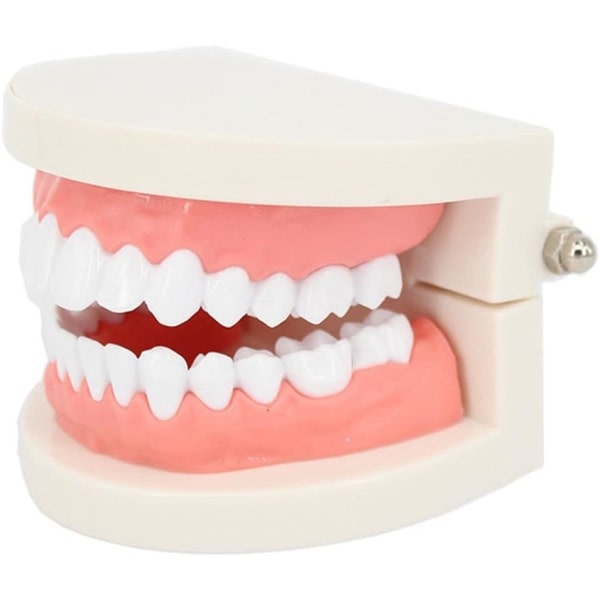 IC Demonstration dental modell