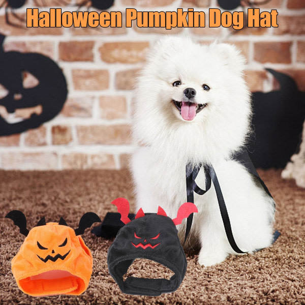 IC Söta Pumpahatt Halloween Katt Bat Hatt Klä Upp Huvudbonad Sm orange One-size