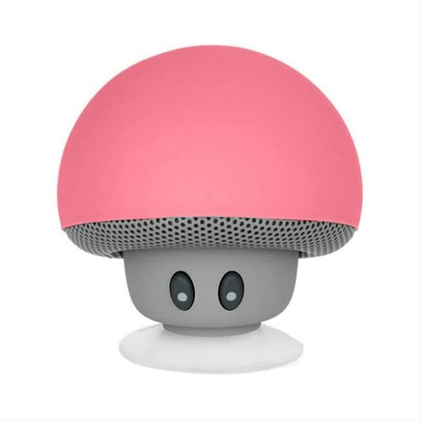 IC Vanntett Bluetooth-høyttaler / Kraftig lyd Multifunksjonell