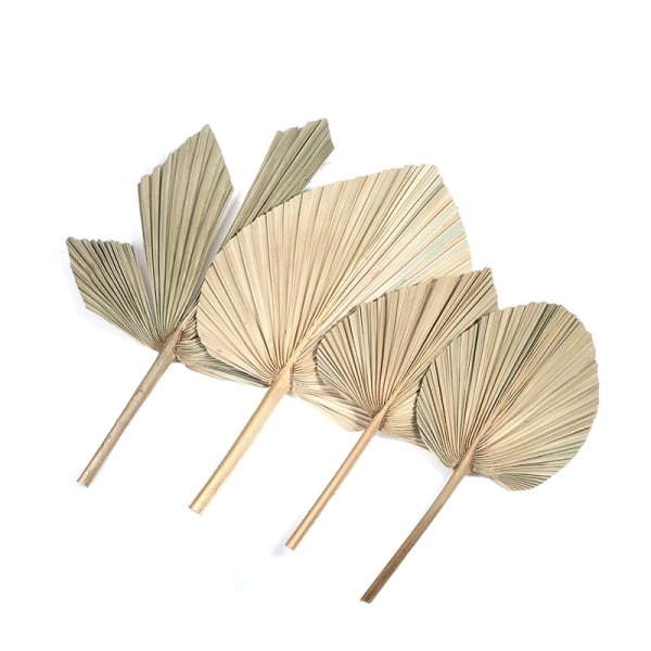 IC Palm Fan Leaf Torkad Blomma Palm Leaf Festdekoration Bröllop S A