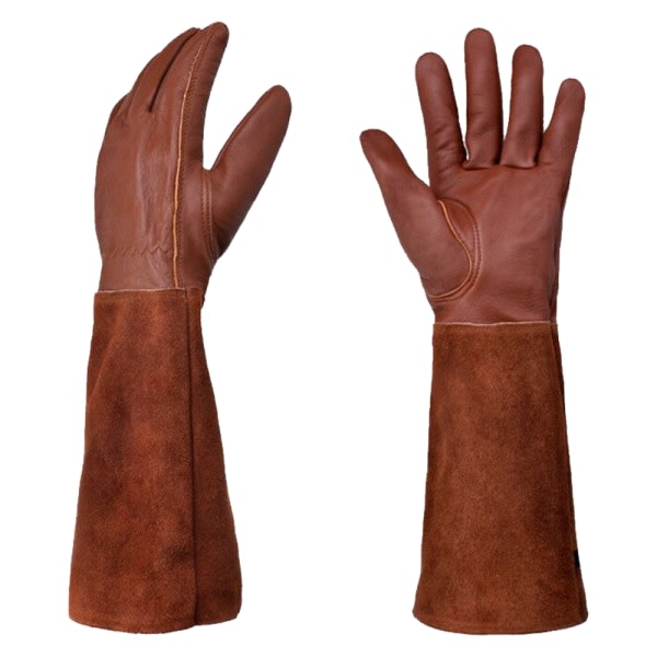 IC Törnbeständiga trädgårdshandskar för damer, trädgårdshandskar med långa handskar brun M