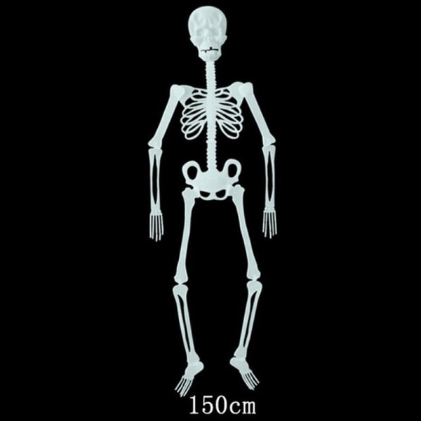 IC 32/90/150 cm Poseable Human Skelett Halloween Dekoration Party A 150cm