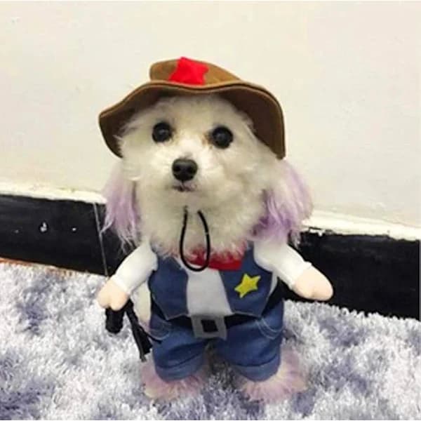 Cowboy Kæledyrskostume med Hat: Hunde- & Kattekostume til Halloween
