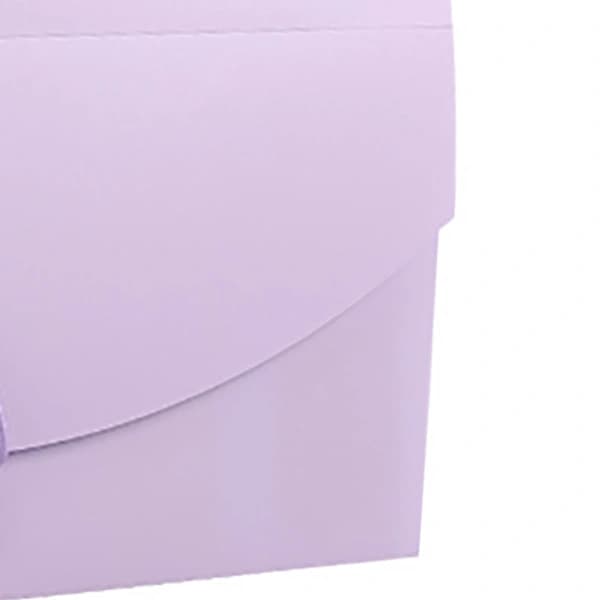 Expanding Document Folder with 13 Pockets, Professional Waterproof Document Organizer for VAT Invoices and Receipts, Purple