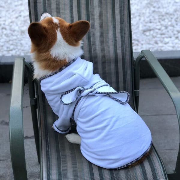 IC Hundebadekåbe, Hvalpe Badekåbe Hurtigtørrende Mikrofiber til Hund