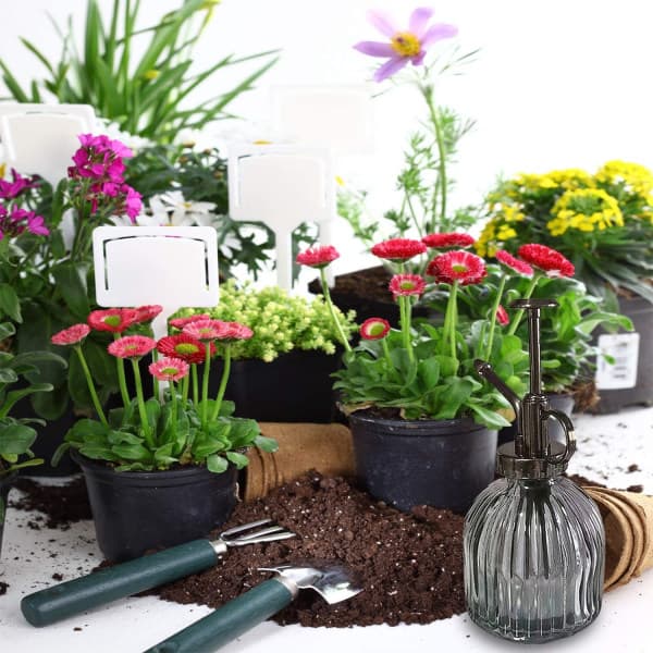 IC 1. glassprøyteflaske for planter