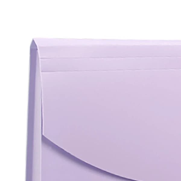 Expanding Document Folder with 13 Pockets, Professional Waterproof Document Organizer for VAT Invoices and Receipts, Purple