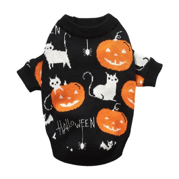 IC Pumpa genser Hund Katt Halloween genser Hund Halloween
