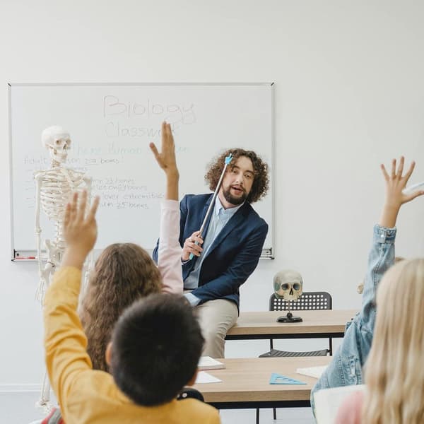 Teleskopisk lärarpekare 2-delad – grön/blå, utdragbar, för whiteboard, klassrum