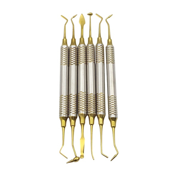 IC 6 stk Dental Composite Resin Fyllspatel Titanbelagt hode Gull