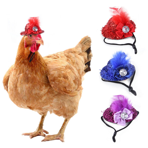 IC 3-delade kycklinghattar for höna Små husdjur Rolig fjäderhatt med justerbart elastisk hakband Tupp Anka Papegoja Fjäderfä Modeshow Kostym