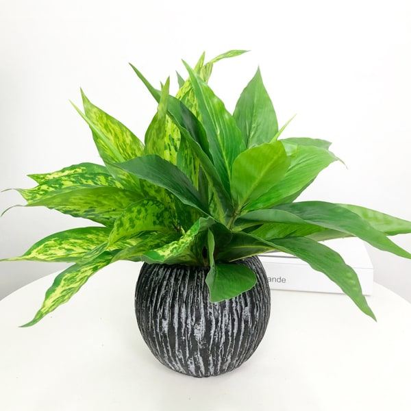 IC 2 buntar konstgjorda växter, falska Boston Fern Greenery Utomhus grön